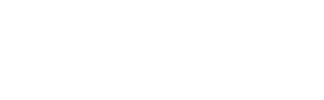 Porteur de projet