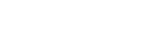Porteur de projet